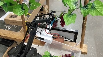Autonomous Grape Harvesting Robot - BCIT Capstone Research Project