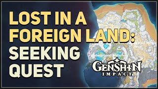 Lost in a Foreign Land Seeking Genshin Impact