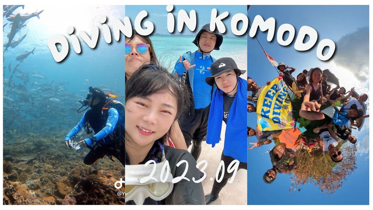 Dive Vlog | 2023 | KOMODO ISLAND DIVING 印尼科摩多潛水 #indonesia  #gopro  #komodo  #sea