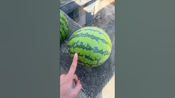 Experiment: Will watermelons and cantaloupes explode when they roll down from a tall building?