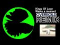 Kings Of Leon - Waste A Moment(Remix)