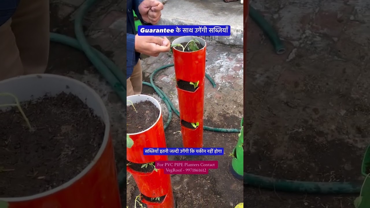 100 Vegetable Towers installations - Veg Roof Vertical Vegetable Garden Setup 1