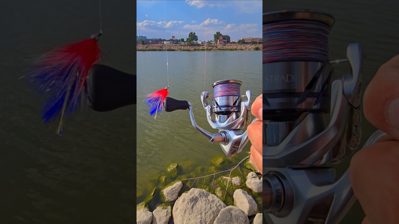 HIGH-VIS 4TH OF JULY RIZZ!🇺🇲🦅 #usa #fishing #fishingvideo #viral