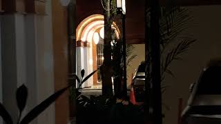 Download Lagu Begitu Indah by Endang S Taurina #begituindah #endangstaurina #lagulawas #laguviral #kenangan MP3