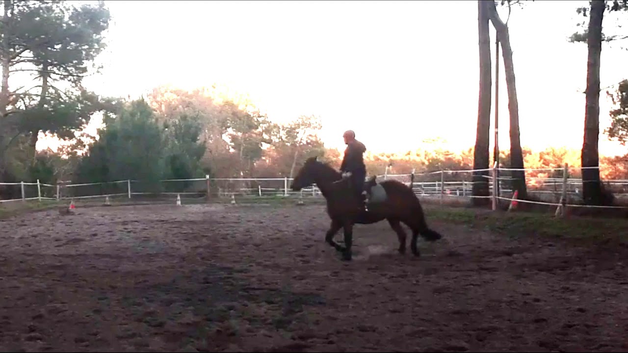 10/11/20 Sultan travail au galop