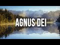 ♫Agnus Dei | Michael W Smith | One hour of Gospel/Evangelical Musical Fund. Cover | Sound of Strings