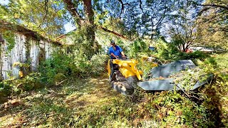 Disseram-me que este quintal era IMPOSSÍVEL… Aí bati em algo que NINGUÉM esperava.