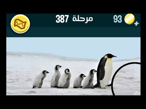 حلول كلمات كراش مرحلة 387 @afkar5612