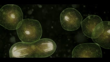 HULK (2003) Opening Credits 4K Clip