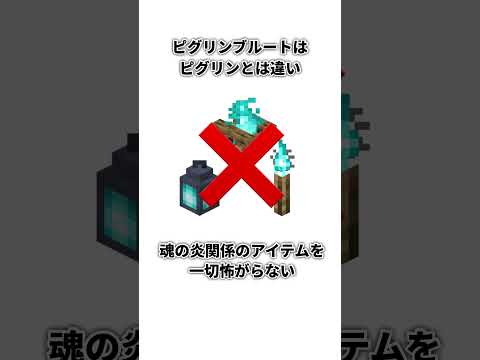 マイクラのピグリンに関する漢の雑学 #マイクラ #マイクラ豆知識 #minecraft #雑学 #マインクラフト #1分雑学 #1分で分かる