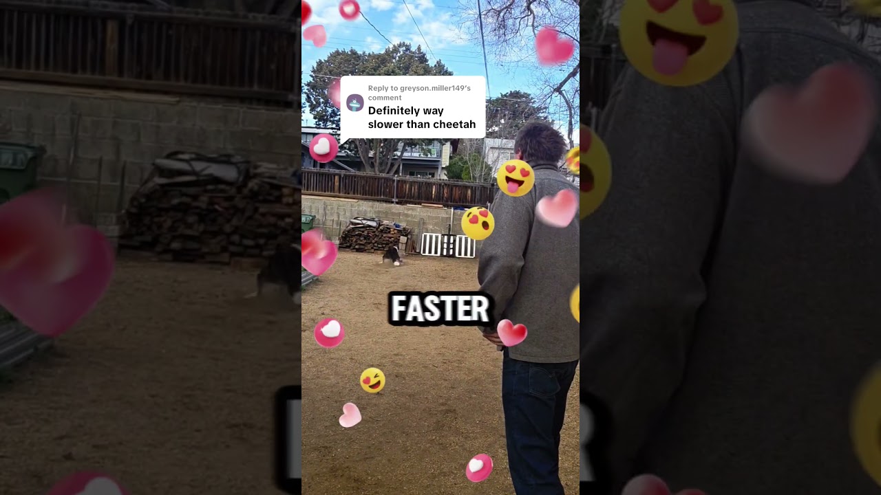 Быстрее, чем ishowspeed 