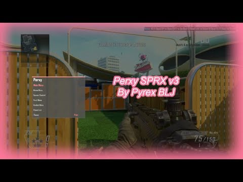 [PS3/1.19] Perxy SPRX v3 Release BO2