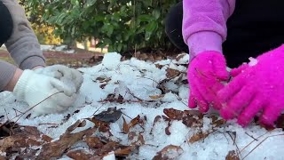 Wakulla County Faces Rare Ice Storm with Power Outages and Frozen Roads