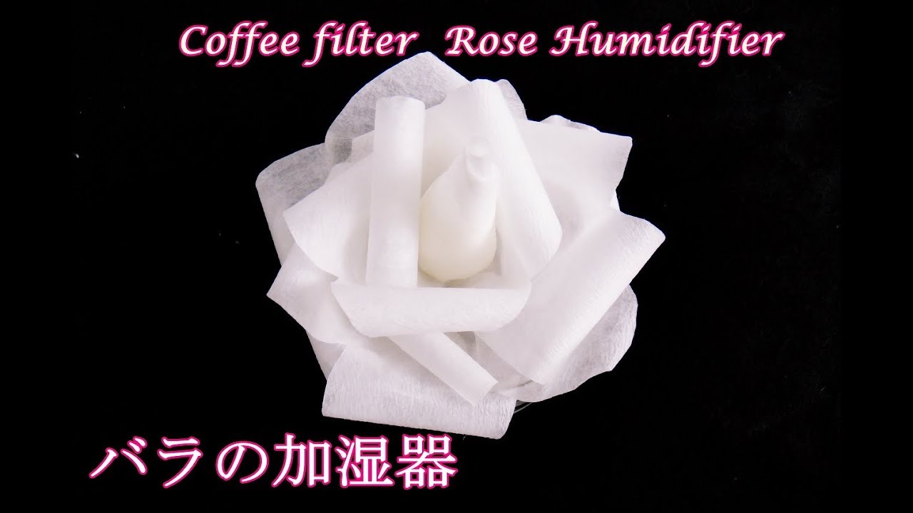 コーヒーフィルターバラの加湿器作り方 Coffee Filter Rose Humidifier Youtube