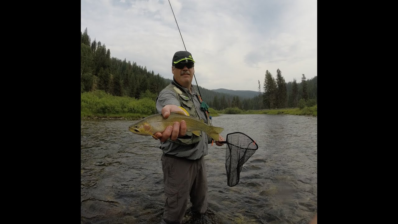 Fly fishing at the St.Joe River, Idaho (GoPro) - YouTube