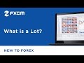 What are Forex lots?