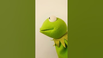 Thumbnail of Kermit sings Monty Python #shortsvideo #montypython #kermit #comedy #funny