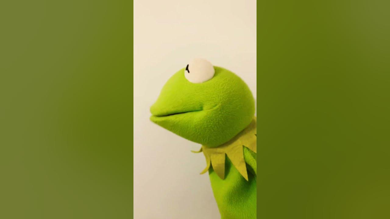 Kermit sings Monty Python #shortsvideo #montypython #kermit #comedy #funny