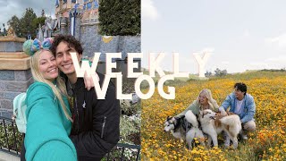 weekly vlog: disneyland :)