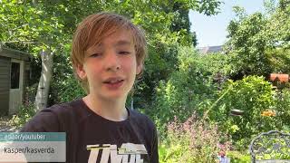 Video afspelen