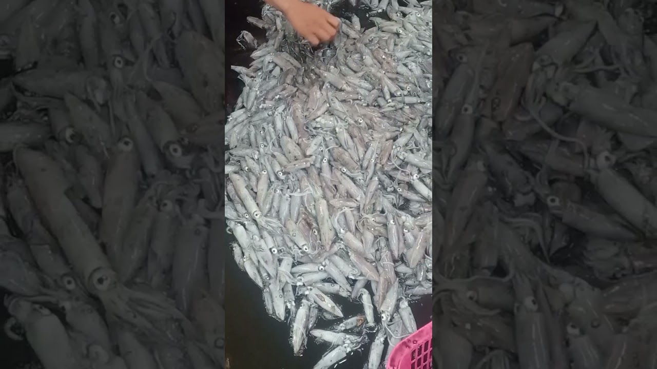 wow  fresh na fresh idol mga isda. 