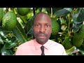 Umuti Ugarura Umukunzi Wawe Mu Minsi 3 Gusa