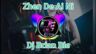 Zhen De Ai Ni 真的爱你 Remix By Dj Brian Bie