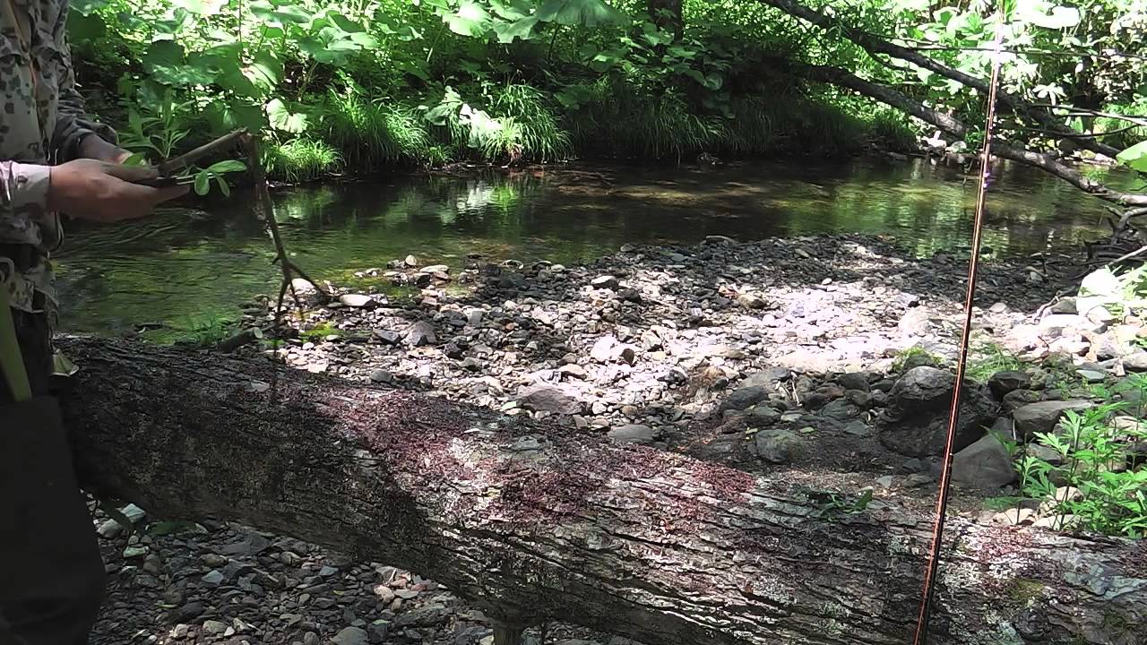 Fly fishing and Firebox bushcraft