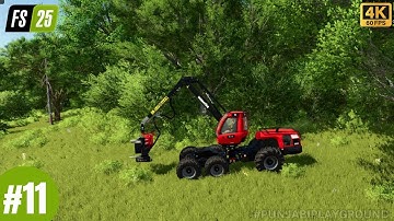 How To Complete Deadwood Contracts | Farming Simulator 25