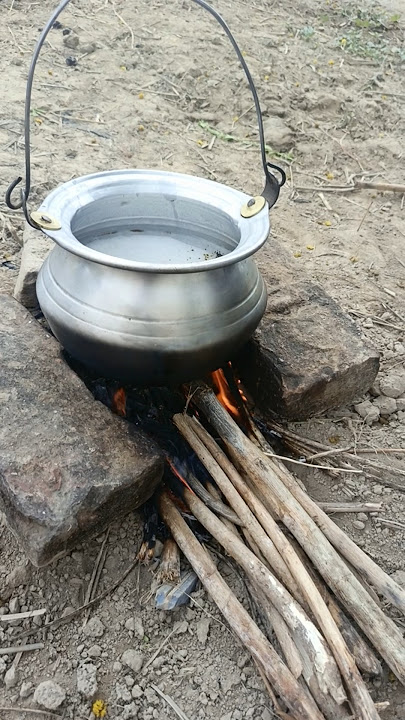 Tea making in fields#goatfarmingbusiness#animalsuccess