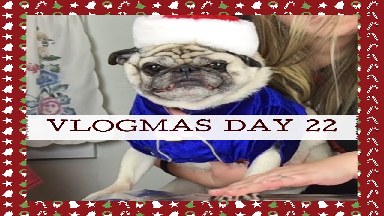 pug keeps paws pug paw print vlogmas day 22 pug keeps paws pug paw print vlogmas day 22