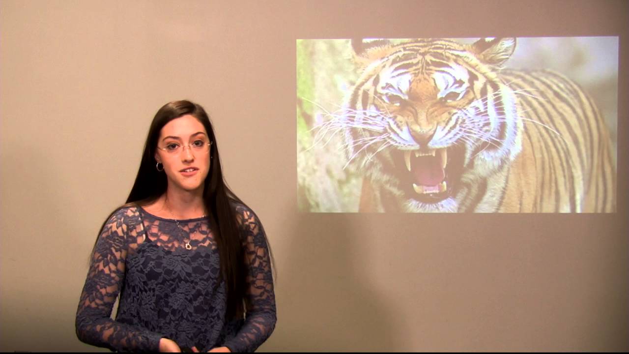 Positive Thinking TED Talk