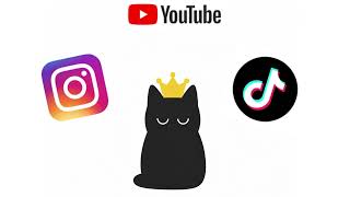 Explainer Video Assignment—History of Cats