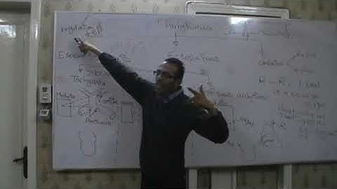 CVS Arrhythmia  1 sinus Dr Mohamed Fayez