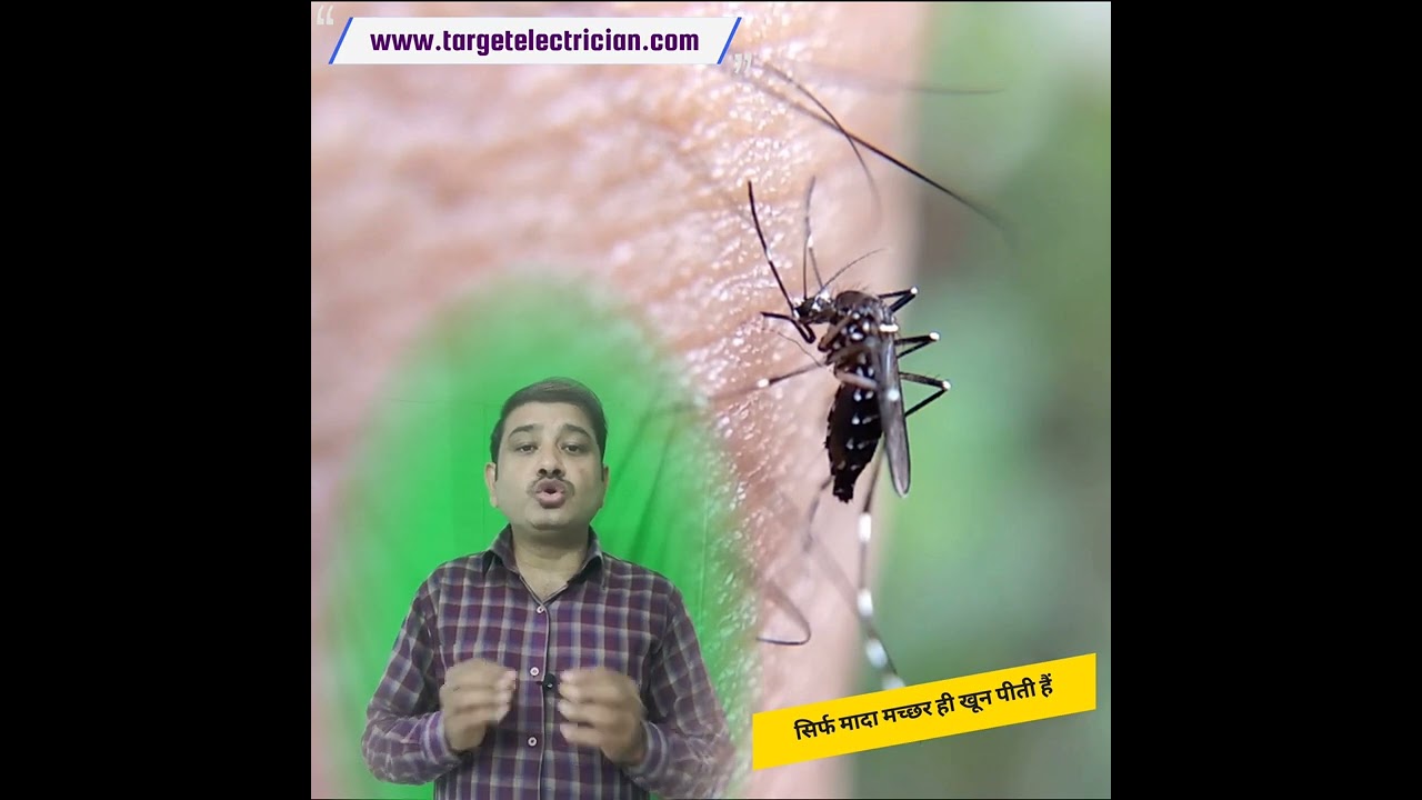 कौन सा मच्छर खून पीता है | gyan ki udan 