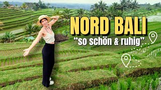 Download Lagu Nord Bali Reiseguide 2025 🇮🇩 Lovina, Wasserfälle, Tempel \u0026 unsere ehrlichen Erfahrungen MP3