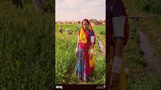 Rajasthani song#sangeet#music music#YouTube#rel#Delhi#Kolkata#Mumbai