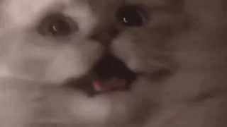 When I go to the bathroom the morning after I ate Chipotle