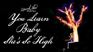 Taylor Swift - You Learn/Baby/She's So High (Live on the Speak Now World Tour)