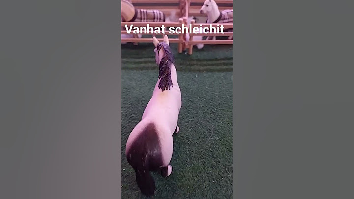 Mun vastaus:Vanhat schleichit