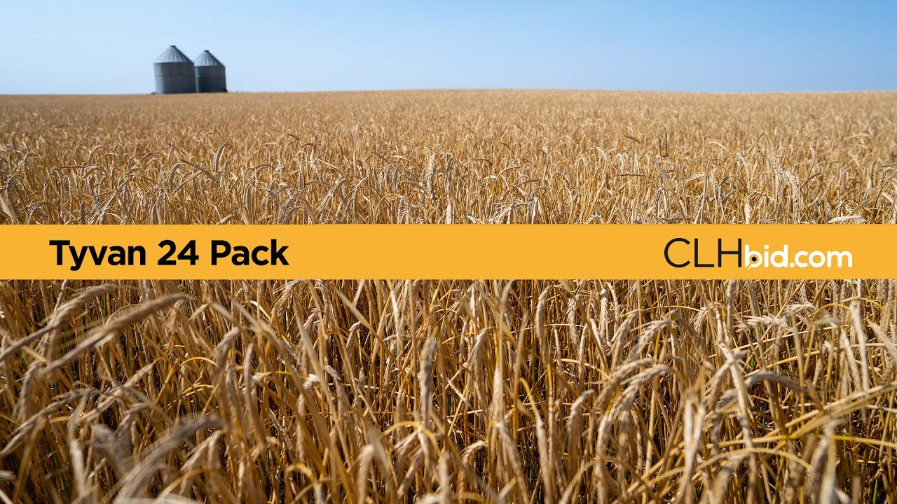 Tyvan 24 Pack YouTube