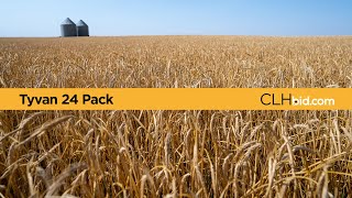 Clhbid - Tyvan 24 Pack