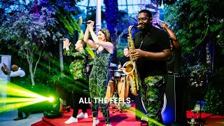 All The Feels Live at the Palm House