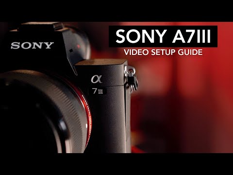 Sony A7Iii Video Setup Guide