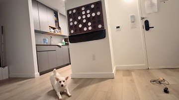 Space Saving Wall Mounted 4 in a Row Game Board