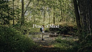 Test Sony A7Iv Atomos Ninja V Apple Prores 422