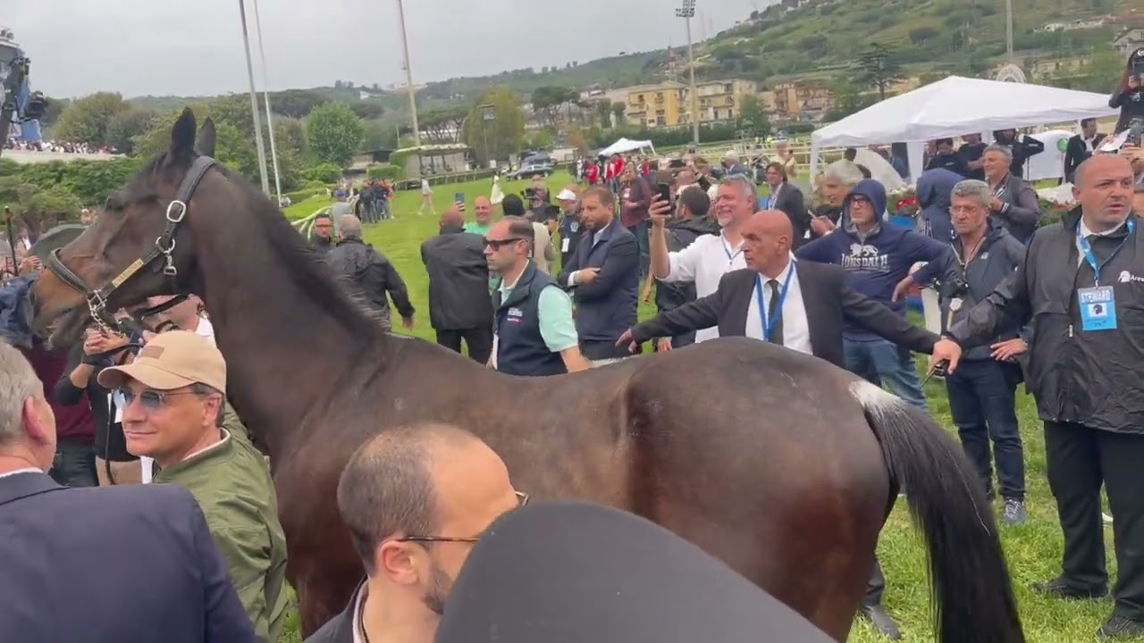 Varenne esittäytyy Agnanon raviradalla