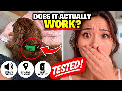Does Pest-Shield Tag Work? - (HONEST REVIEW!) - Pest-Shield Tag Reviews - Flea & Tick Tag 2026