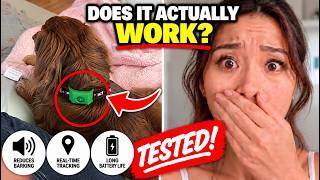 Does Pest-Shield Tag Work? - (HONEST REVIEW!) - Pest-Shield Tag Reviews - Flea & Tick Tag 2026