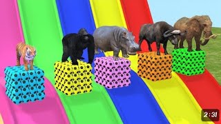 colour slide game Gorilla elephant tiger cow_animal Go screenshot 2